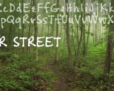 cedar-street-font