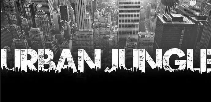 Urban jungle Font