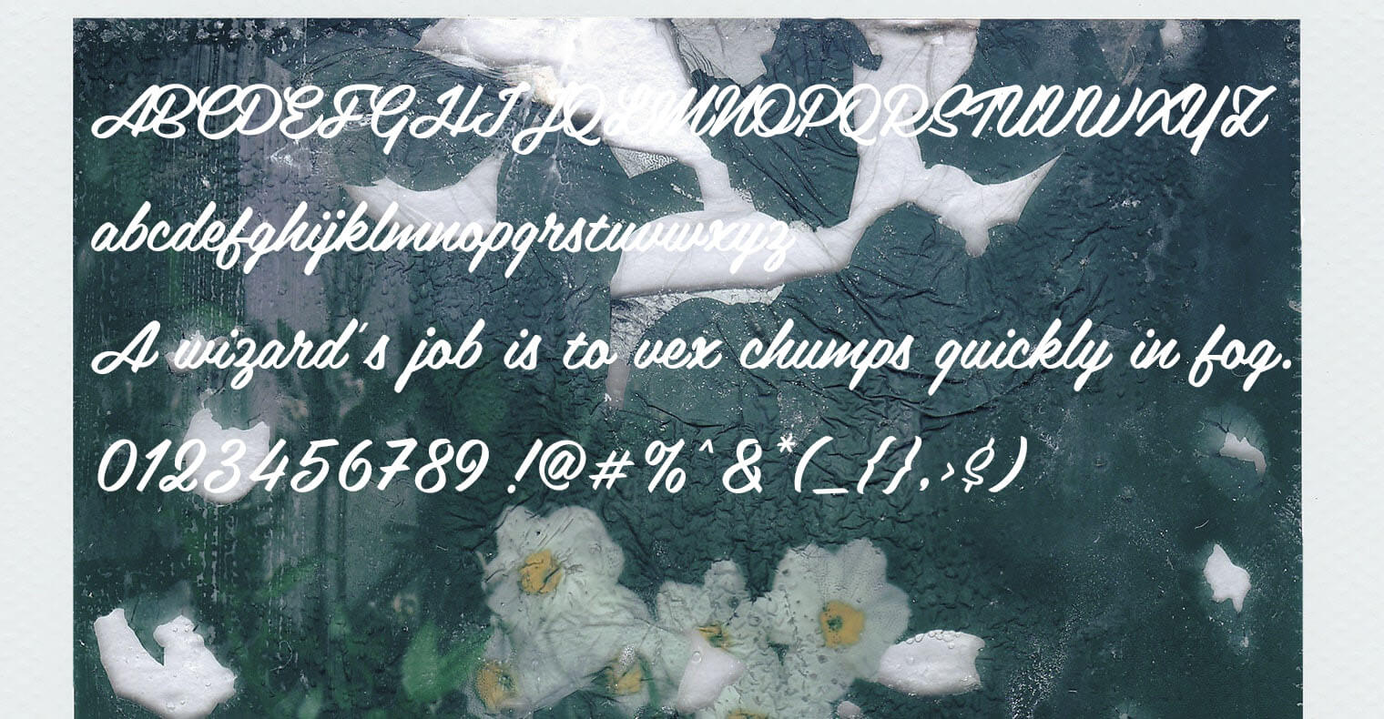 Belinda Font