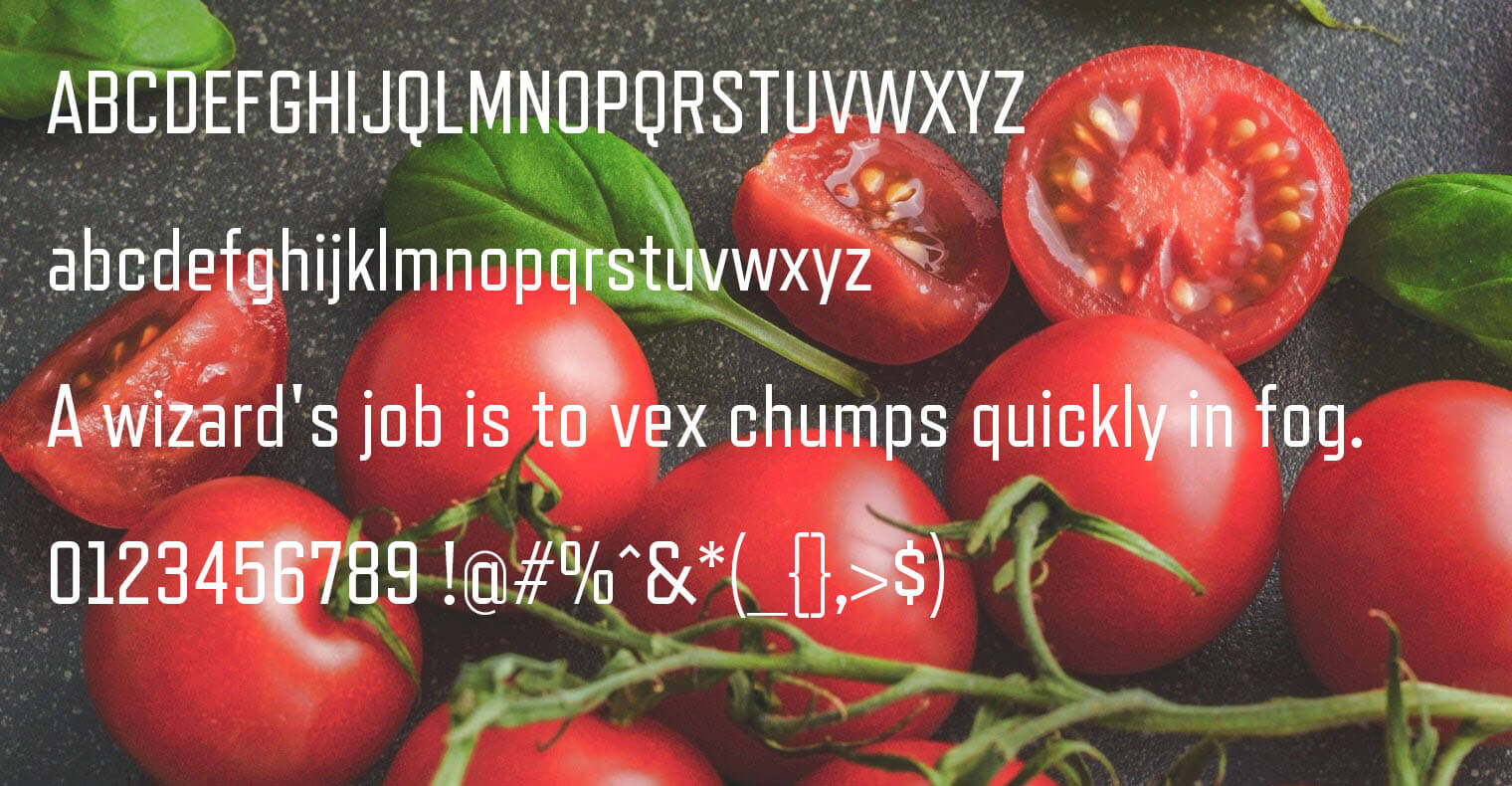 Refrigerator Deluxe Font