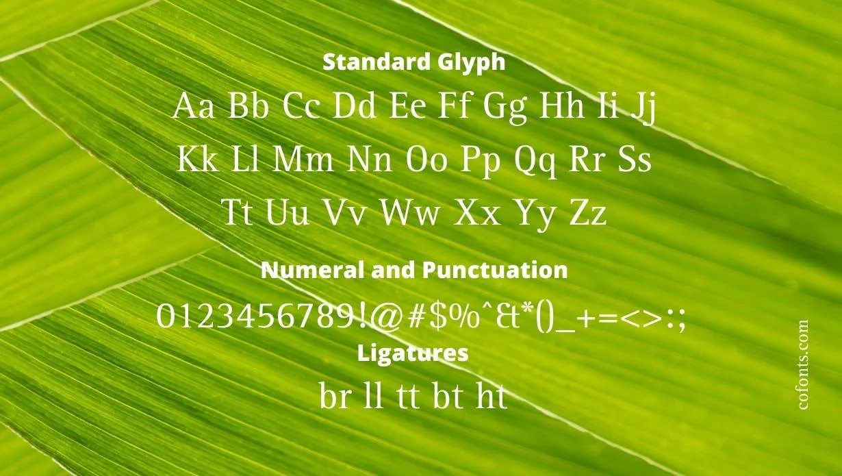 rotis font