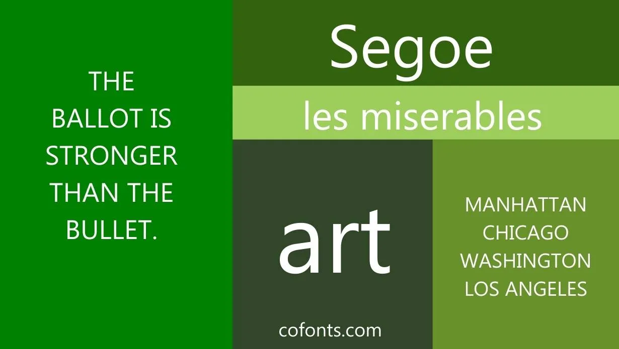 Segoe Pro Font