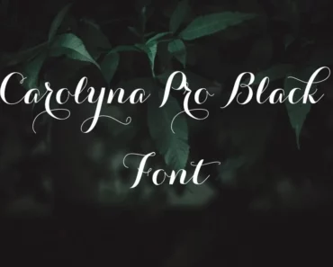 Carolyna Pro Black Font