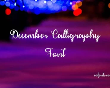 December Calligraphy Font