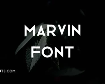 Marvin Font