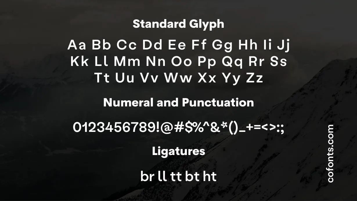 Labil Grotesk Font Family View