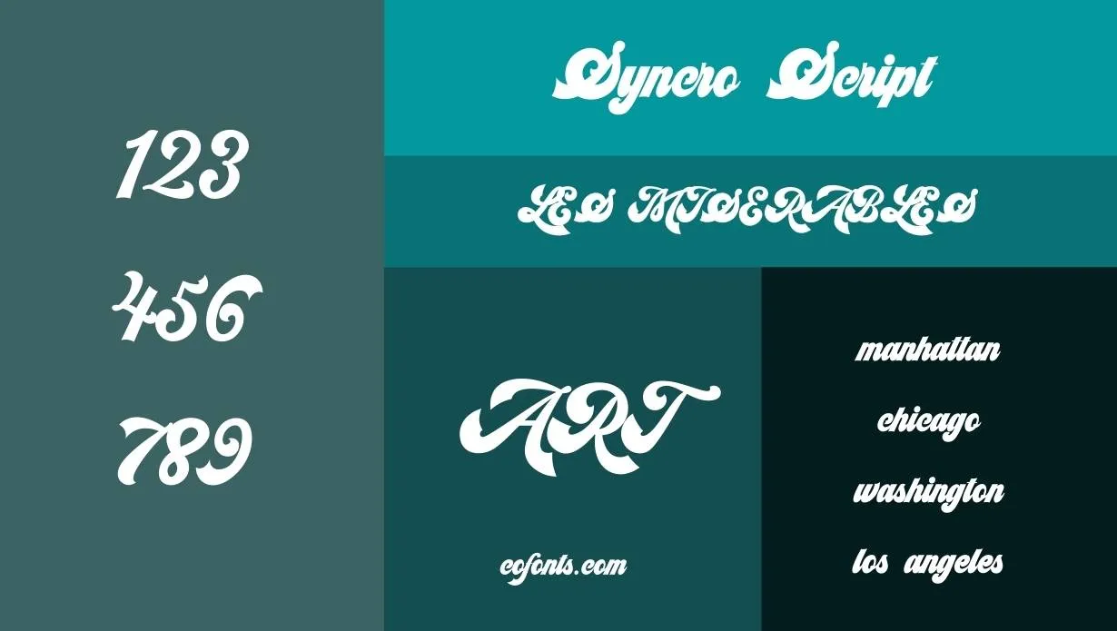 Syncro Script Font Family View