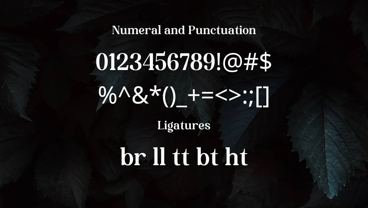 Duhai Font Family View